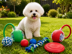 Neues interaktives Hundeball-Spielzeug, Automatisch rollender Hundeball wiederaufladbar, Intelligentes interaktives Welpenspielzeug, Intelligentes Ballspielzeug für Hunde