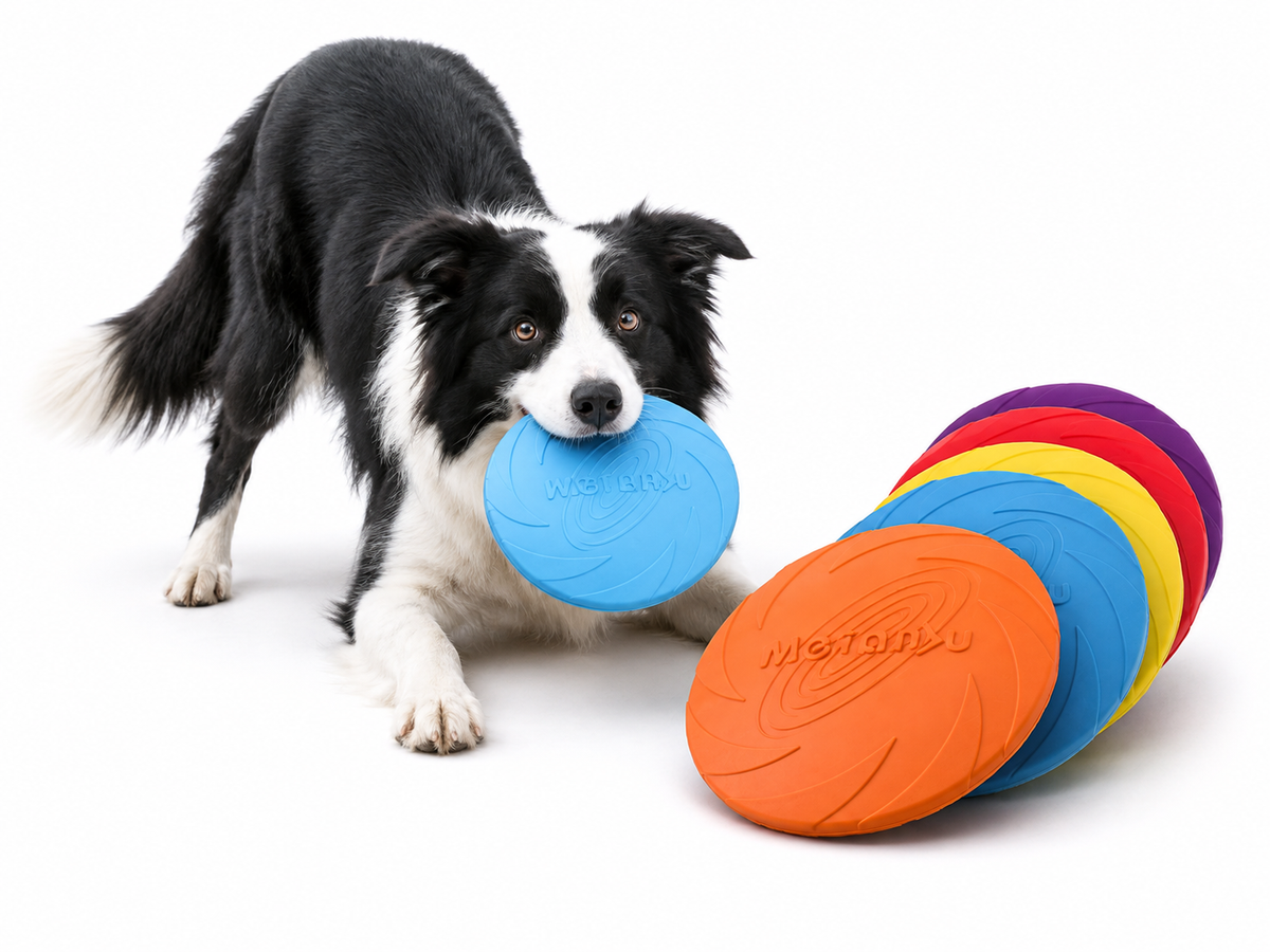 OUZEY Bite Resistant Flying Disc Toys For Dog Multifunction Pet Puppy Training Toys Outdoor Interactive Game Pet Dogs Products