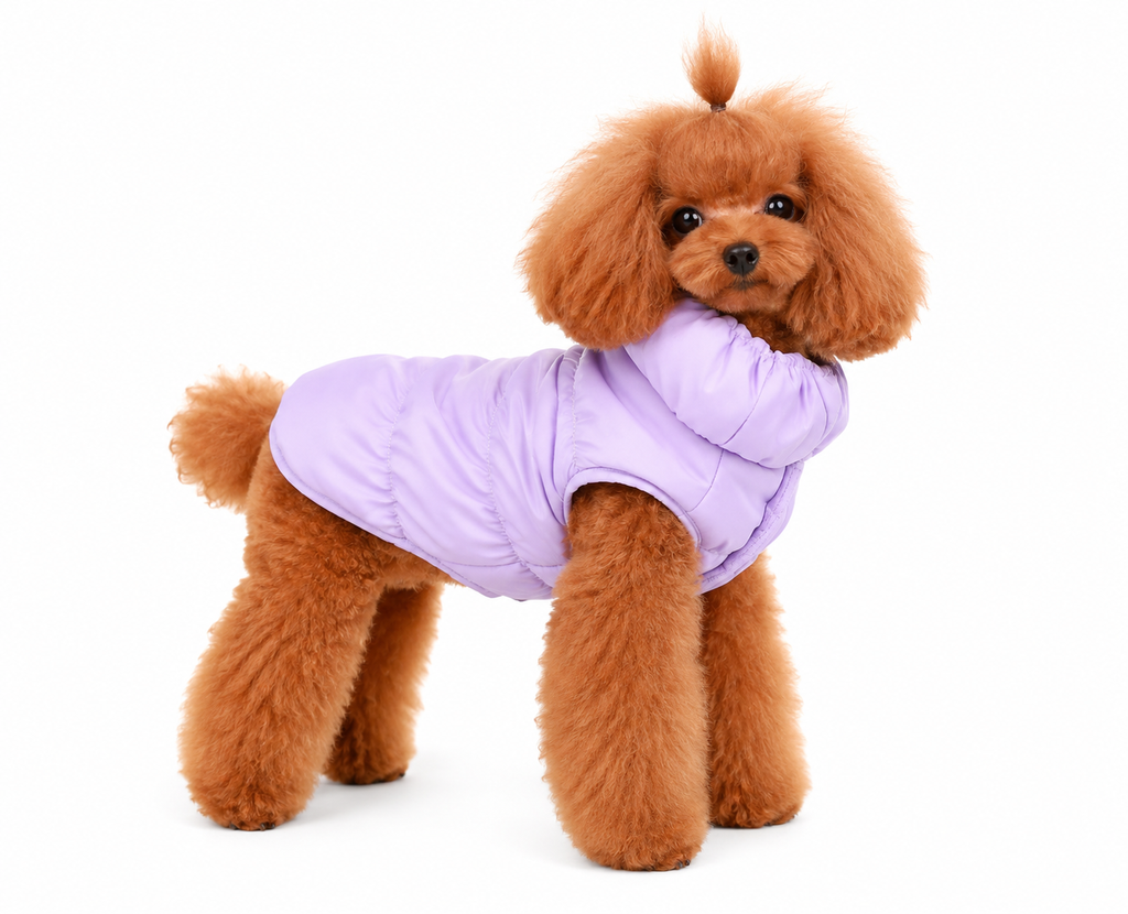 Dog Clothes With Warm Straps Cotton Jackets Pet Two-Legged Jackets Medium-Sized Dog Clothes Autumn-Winter Outfits