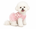 Neue Haustierkleidung Dünner Hund Sommer Katze Hundekleidung Rock Spitze Blumenstücke Atmungsaktive Hautfreundliche Hund Teddy Bart Corgi