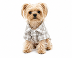 Dog clothes Spring Summer Plaid Shirt for Dogs And Cats Fashionable Cute Pet Clothing Suitable for Small to Medium Dogs