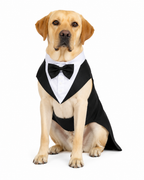 Haustier Hundekleidung Mode Party Show Formeller Anzug Krawatte Fliege Hemd Hochzeit Smoking Halloween Kleid für kleine große Hunde Kleidung Zubehör