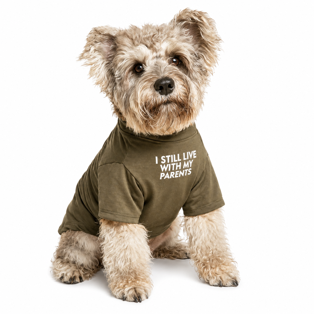 Cute Dog Clothes,Dog T Shirt for Medium Dogs, Small Dogs Girl Boy,Puppy.Breathable Soft Dog Costume Pet Dogs Cats,Pet Pullover