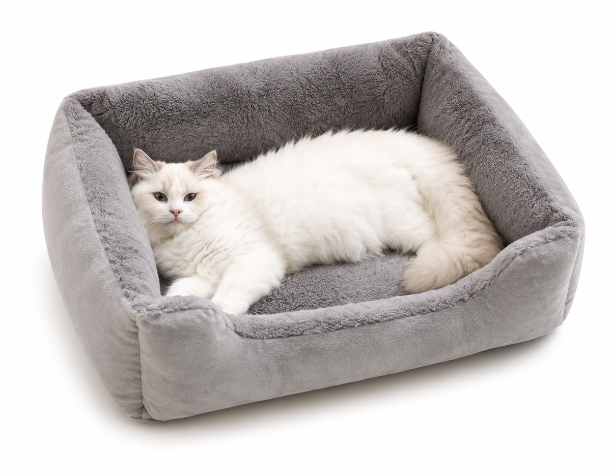 Cats Bed Dog Mat Beds Goods Pet Puppy Accessories All Products Kitten Cushions Things Accessory Houses Habitats House Supplies