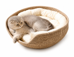 Cat Basket Bed Cotton Rope Round Bed for Cat Sleep with Pillow All Season Indoor Weaving Pet Resting Scratching Sleeping