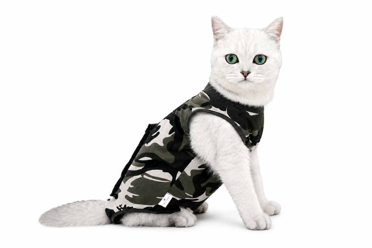 Cat Clothes Cat After Surgery Recovery Suit for Surgical Abdominal Wounds, E-Collar & Cone Alternative Pet Body Vest