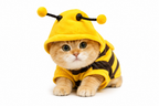Lustige Katzenkleidung, rutschfester kleiner Bienen-Beagle-Hund, niedliche blaue Katze, Frühling und Herbst, neuer Haustier-Hoodie