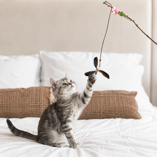 6Pcs/set Cat Feather Wand Interactive Cat Feather Replacements Cat Accessories For Indoor Cats Kitten Exercise