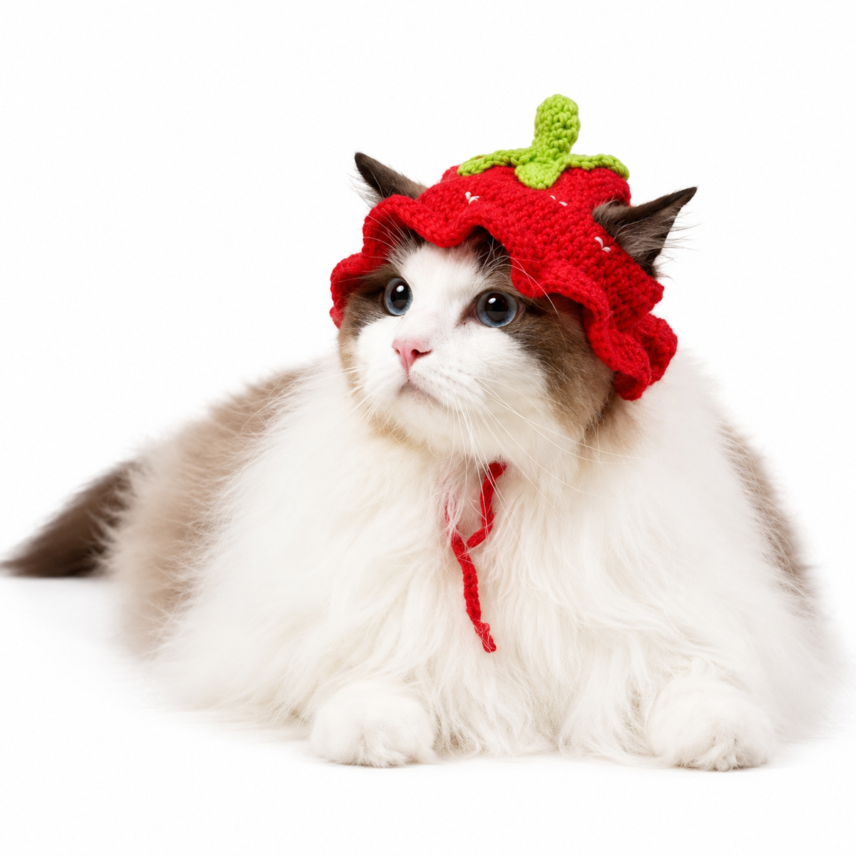 Autumn Winter Cat Hat Elastic Cute Refined Pet Hat Puppy Kittens Knitted Hat Party Photo Shoot Props Decoration Cat Accessories