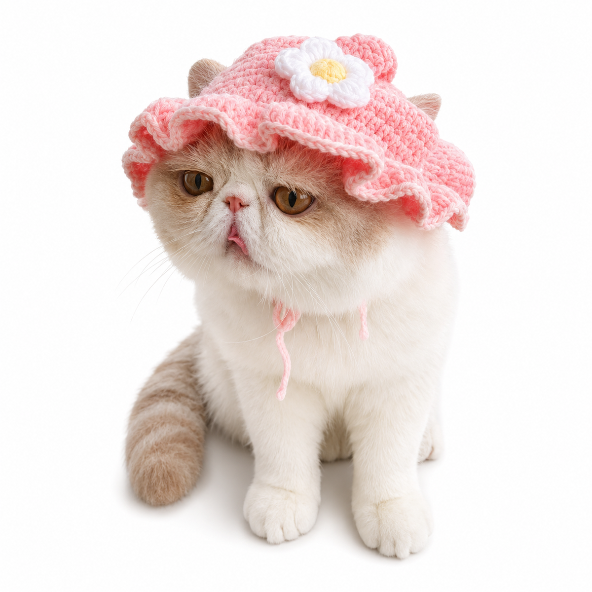 Autumn Winter Cat Hat Elastic Cute Refined Pet Hat Puppy Kittens Knitted Hat Party Photo Shoot Props Decoration Cat Accessories
