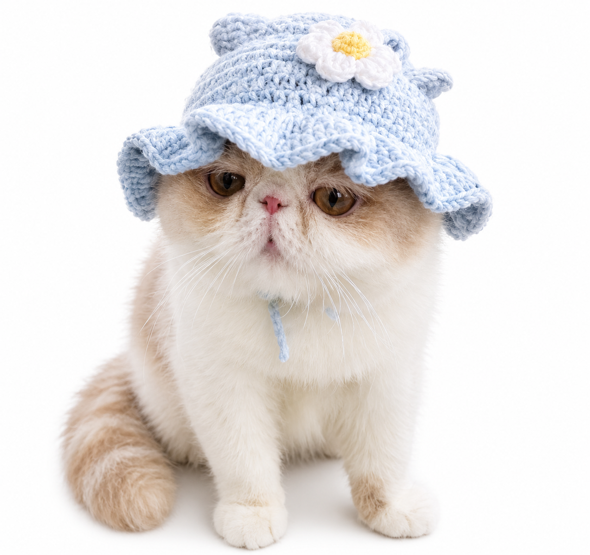 Autumn Winter Cat Hat Elastic Cute Refined Pet Hat Puppy Kittens Knitted Hat Party Photo Shoot Props Decoration Cat Accessories