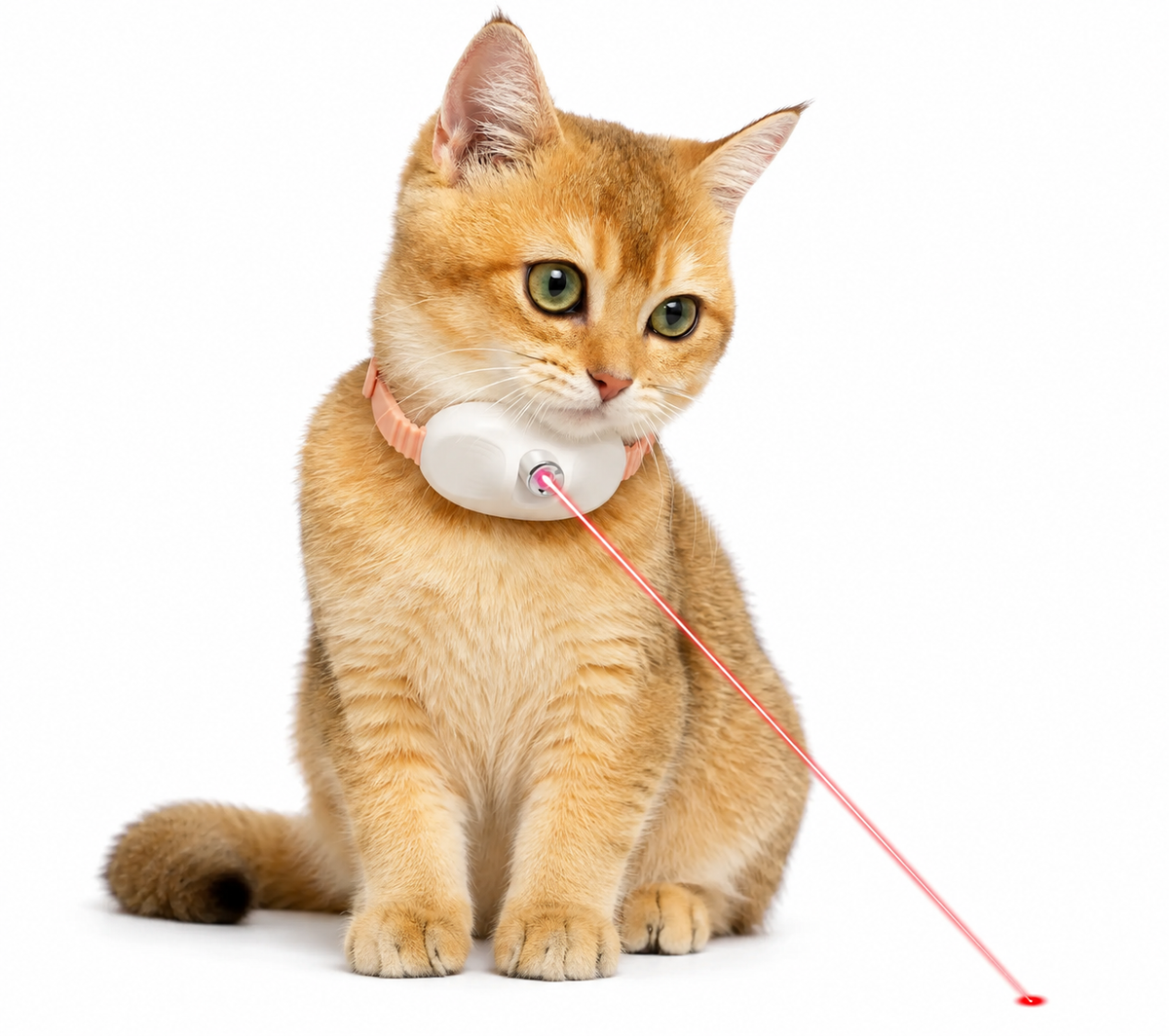 New Automatic Cat Laser Toy Electric Pet Supplies Cat Laser Collar with LED Light Led Cat Collar for Cat Accessories