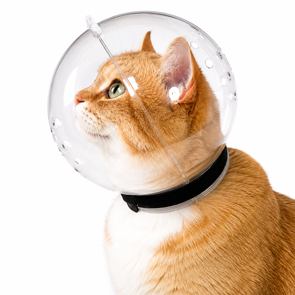 Katzenkopfschutzball, Haustierpflegezubehör, atmungsaktive Maske, Schwimmhelm, Katzenzubehör
