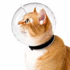 Katzenkopfschutzball, Haustierpflegezubehör, atmungsaktive Maske, Schwimmhelm, Katzenzubehör