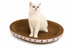 Corrugated Cat Scratcher Cat Scrapers Cat Scratching Board Corrugated Cardboard Grinding Nails Interactive Protecting Furniture