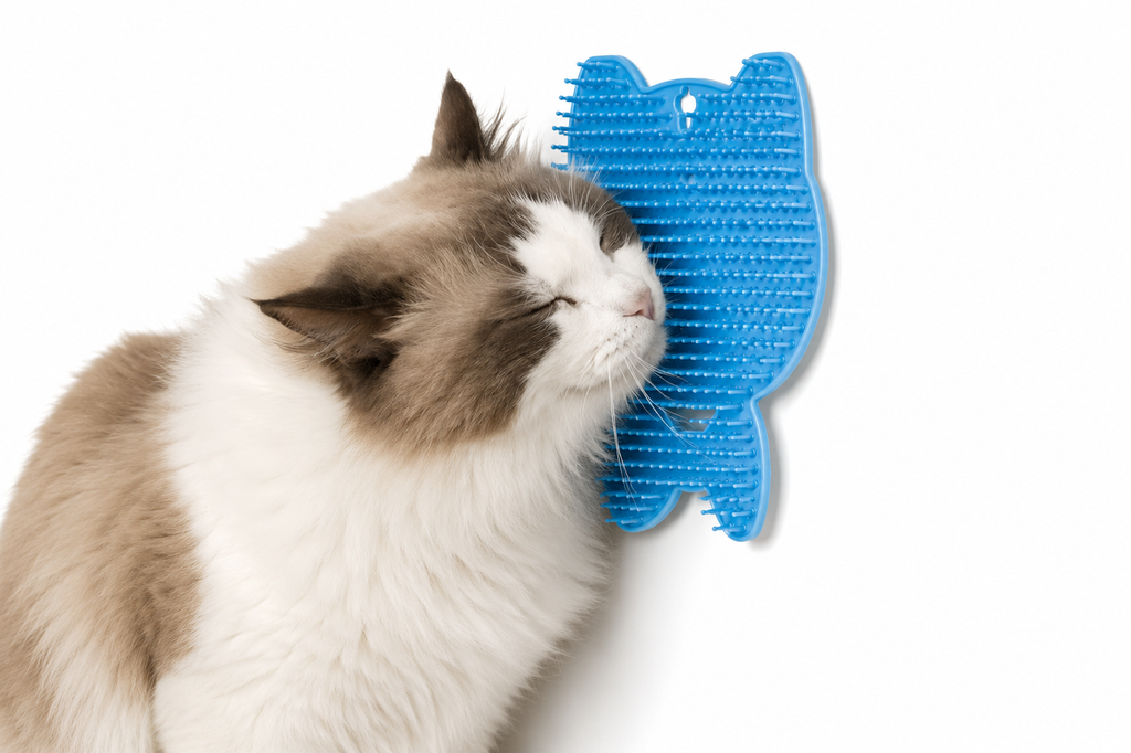 Katzenkratzbrett Haustierbürste Kamm Kunststoff-Kratzbrett Selbstbedienungs-Massageaufkleber Entfernung schwimmender Haare Bürste Haustierzubehör