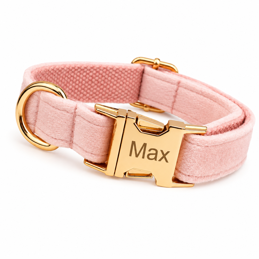 Velvet Collar Free Engrave Dog Collar For Medium Big Pet Necklace Dog Accessories Dog Collars