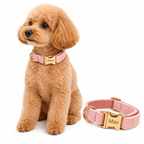 Velvet Collar Free Engrave Dog Collar For Medium Big Pet Necklace Dog Accessories Dog Collars