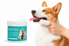 Pet Cleaning Products Disposable Finger Toothbrush Pet Teeth Cleaning Finger Covers Wet Wipes Dog and Cat Oral Cleaning