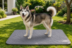 Dog Pee Pad Blanket Reusable Absorbent Diaper Washable Puppy Training Pad Pet Bed Urine Mat for Pet Car Seat Cover Pet Supplies