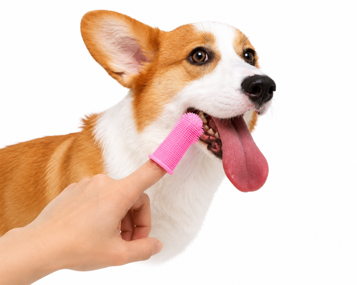 3-Sided Pet Toothbrush Dog Plastic Toothbrush Removing  Tartar Cleaning Mouth Pet  Care Cat Cleaning Mouth