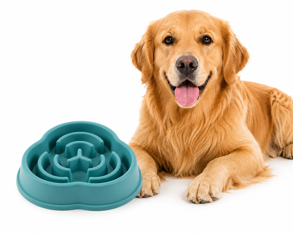 Haustier Katze Hund Langsam Fressnapf Fett Hilfe Gesund Rund Anti-Schlucken Verdickt Und Rutschfest Mehrere Farben Formen