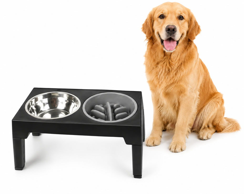 Elevated Dog Feeder with Adjustable Raised Stand, Slow Food Bowl, Water Feeders for Large and Medium Dogs