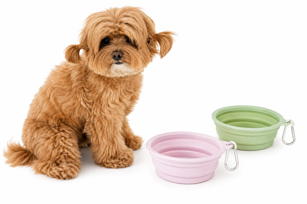 Foldable Silicone Dog Bowl Pet Outdoor Travel Portable Folding Cat Food Water Large Capacity Container Feeding Bowl Pet Supplies