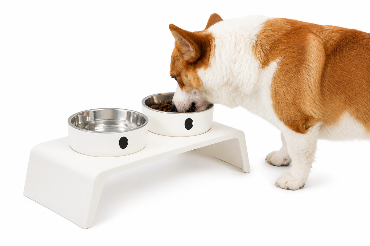 Elevated Pet Dog Feeder Bowls Raised Stand with Double Stainless Steel Food Water Bowls For Small Medium Large Dogs Cats