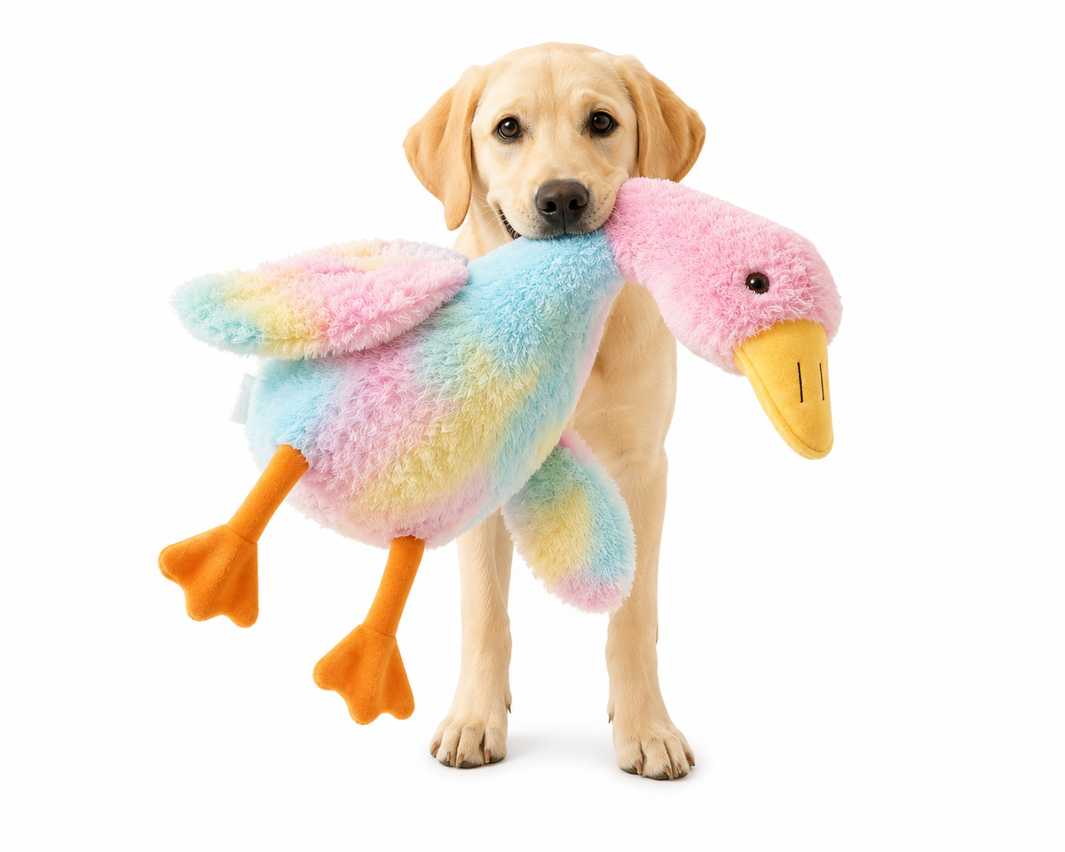 50cm Soft Colorful Duck Plush Toy for Cats Dogs Relax Pet Companion Anxiety-Relieving Dog Buddy Energy Release Gift for Pets