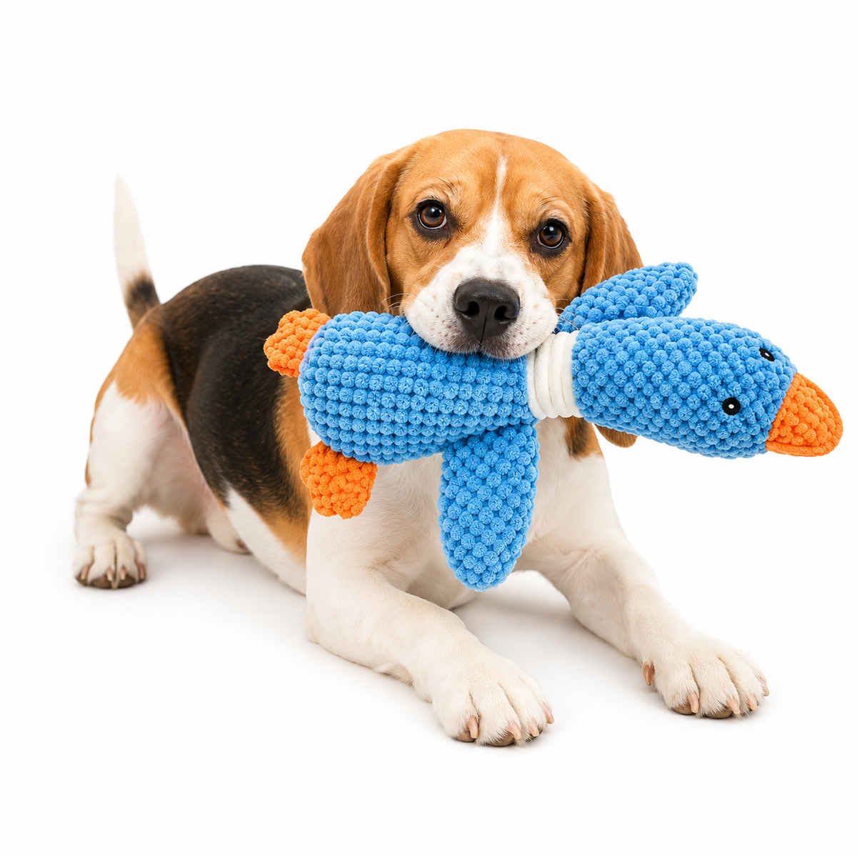 Cat Dog Toys for Aggressive Chewers Cats Dogs,Chew Squeak Toy Cats Dogs Interactive Plush Doll Pet Products