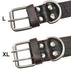 Benepaw Robustes Echtes Leder Hundehalsband mit Kontrollgriff, modisches, strapazierfähiges Schwerlast-Haustierhalsband für mittlere bis große Hunde