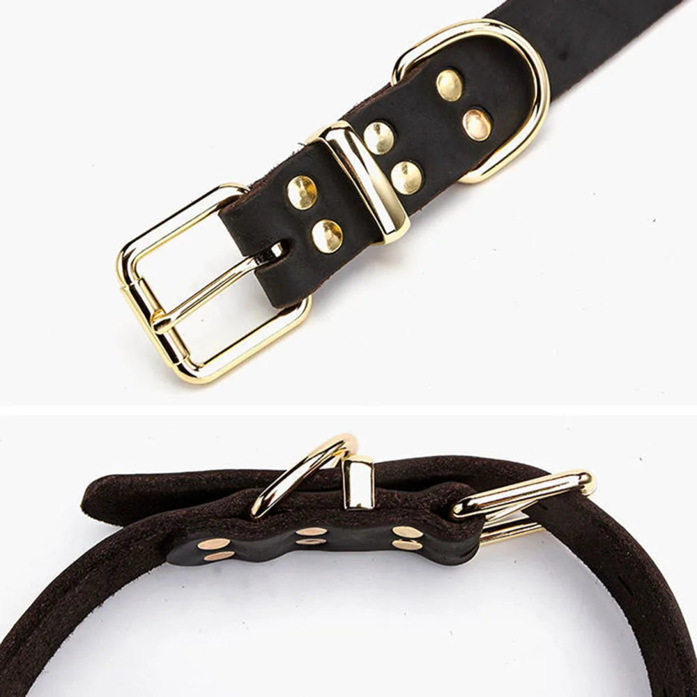 Echtes Leder Hundehalsband Echtleder D-Ring Hundehalsband mit hochwertiger goldener Metallschnalle Verstellbar Kleine Große Hunde Halsbänder