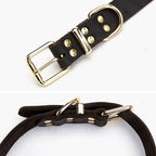 Echtes Leder Hundehalsband Echtleder D-Ring Hundehalsband mit hochwertiger goldener Metallschnalle Verstellbar Kleine Große Hunde Halsbänder