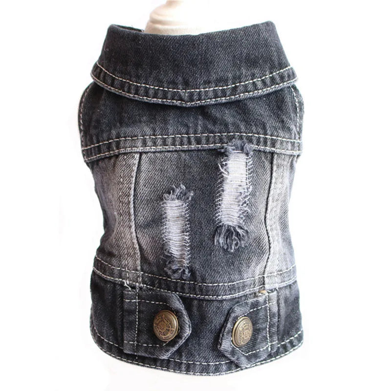 Fashion Katze Jeansweste Welpenjacke Lässige Jeansmantel Outfits Frühling Herbst Katzenkleidung für Kätzchen Kleine Mittlere Katzen Haustierbekleidung