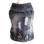 Fashion Katze Jeansweste Welpenjacke Lässige Jeansmantel Outfits Frühling Herbst Katzenkleidung für Kätzchen Kleine Mittlere Katzen Haustierbekleidung