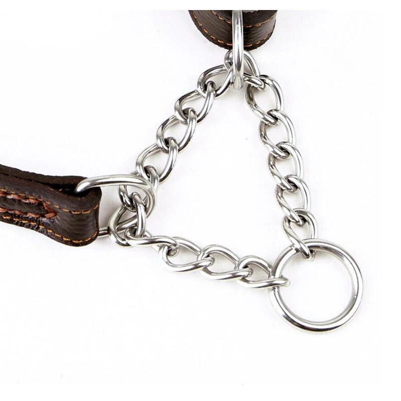 Halsband für Hunde aus echtem Leder, Rindsleder, Martingal-Hundehalsbänder für mittelgroße bis große Rassen, Pitbull, Mastiff, Boxer, Bully, 2,0/2,5 cm