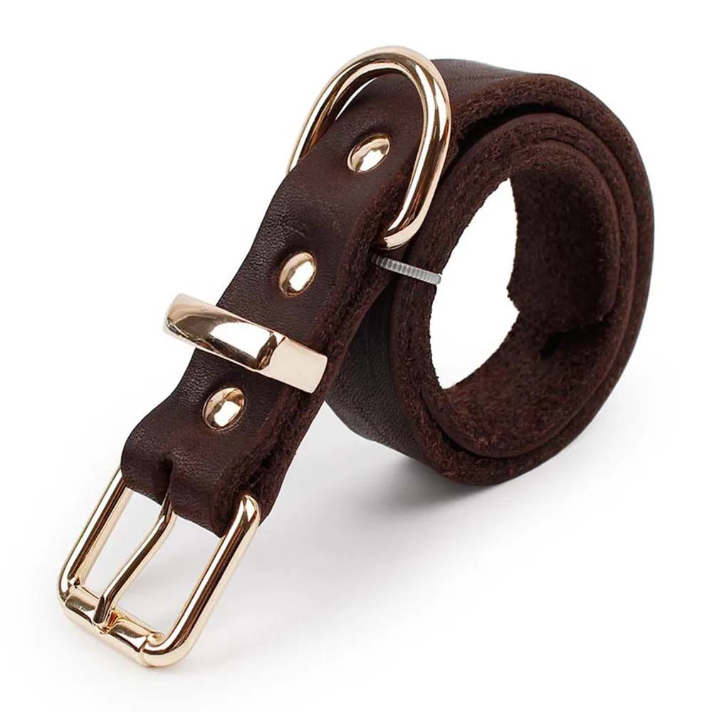 Echtes Leder Hundehalsband Echtleder D-Ring Hundehalsband mit hochwertiger goldener Metallschnalle Verstellbar Kleine Große Hunde Halsbänder
