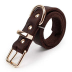 Echtes Leder Hundehalsband Echtleder D-Ring Hundehalsband mit hochwertiger goldener Metallschnalle Verstellbar Kleine Große Hunde Halsbänder