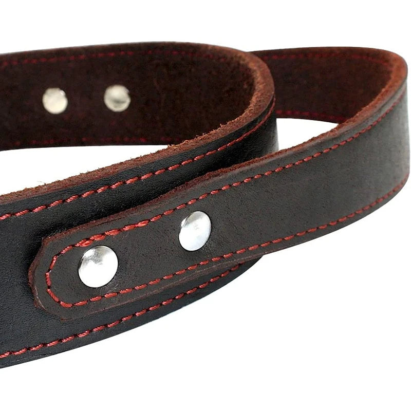 Benepaw Robustes Echtes Leder Hundehalsband mit Kontrollgriff, modisches, strapazierfähiges Schwerlast-Haustierhalsband für mittlere bis große Hunde