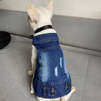 Fashion Katze Jeansweste Welpenjacke Lässige Jeansmantel Outfits Frühling Herbst Katzenkleidung für Kätzchen Kleine Mittlere Katzen Haustierbekleidung