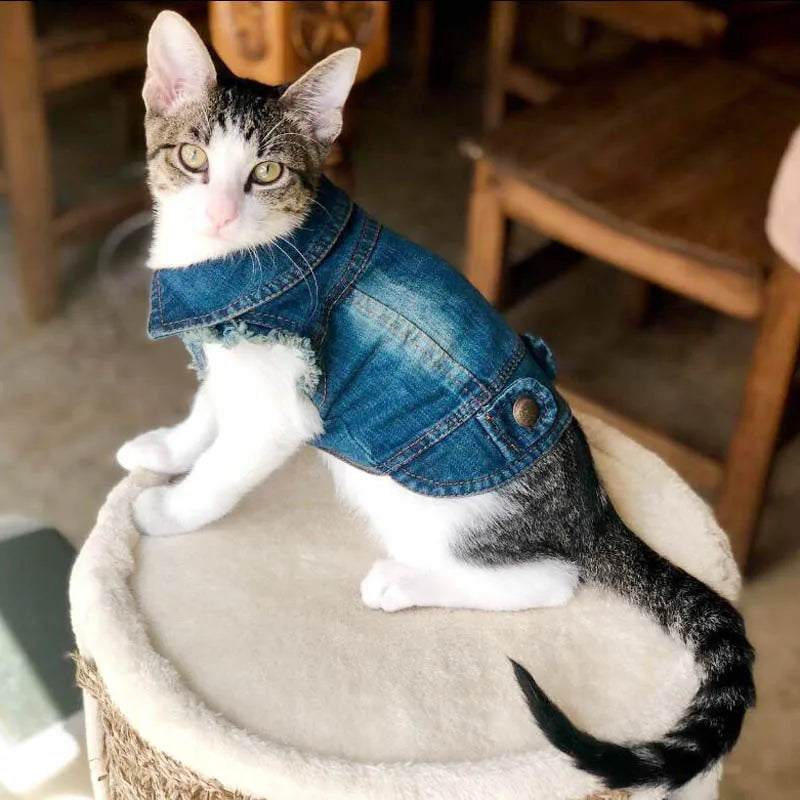 Fashion Katze Jeansweste Welpenjacke Lässige Jeansmantel Outfits Frühling Herbst Katzenkleidung für Kätzchen Kleine Mittlere Katzen Haustierbekleidung