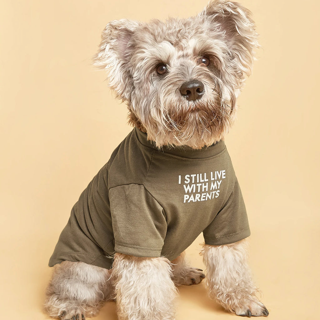 Cute Dog Clothes,Dog T Shirt for Medium Dogs, Small Dogs Girl Boy,Puppy.Breathable Soft Dog Costume Pet Dogs Cats,Pet Pullover