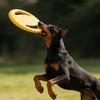 Hunde EVA Flugscheibe Zahn Kaubare Spielzeug Trainierbar Unzerstörbar Haustierbedarf Spielzeuge Groß Sicher Klein Hund Gelenk Robust Spielzeug Widerstandsfähig