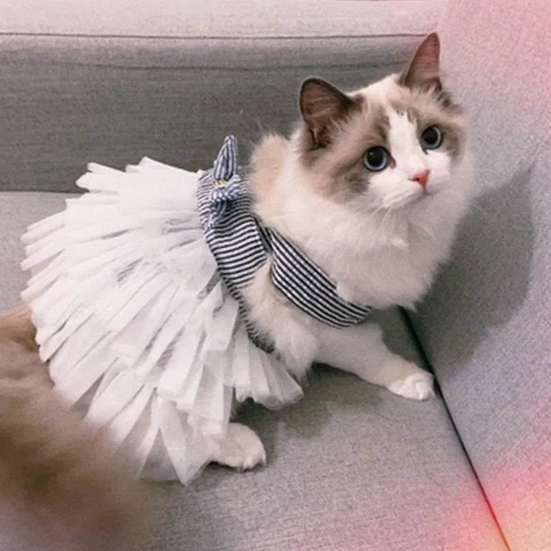 Gestreifte Katzenkleidung Frühling Sommer Haustierkleidung für kleine Katzen Hunde Katzenkostüme Weiches Kätzchen Kitty Kleid Haustier Welpen Outfit