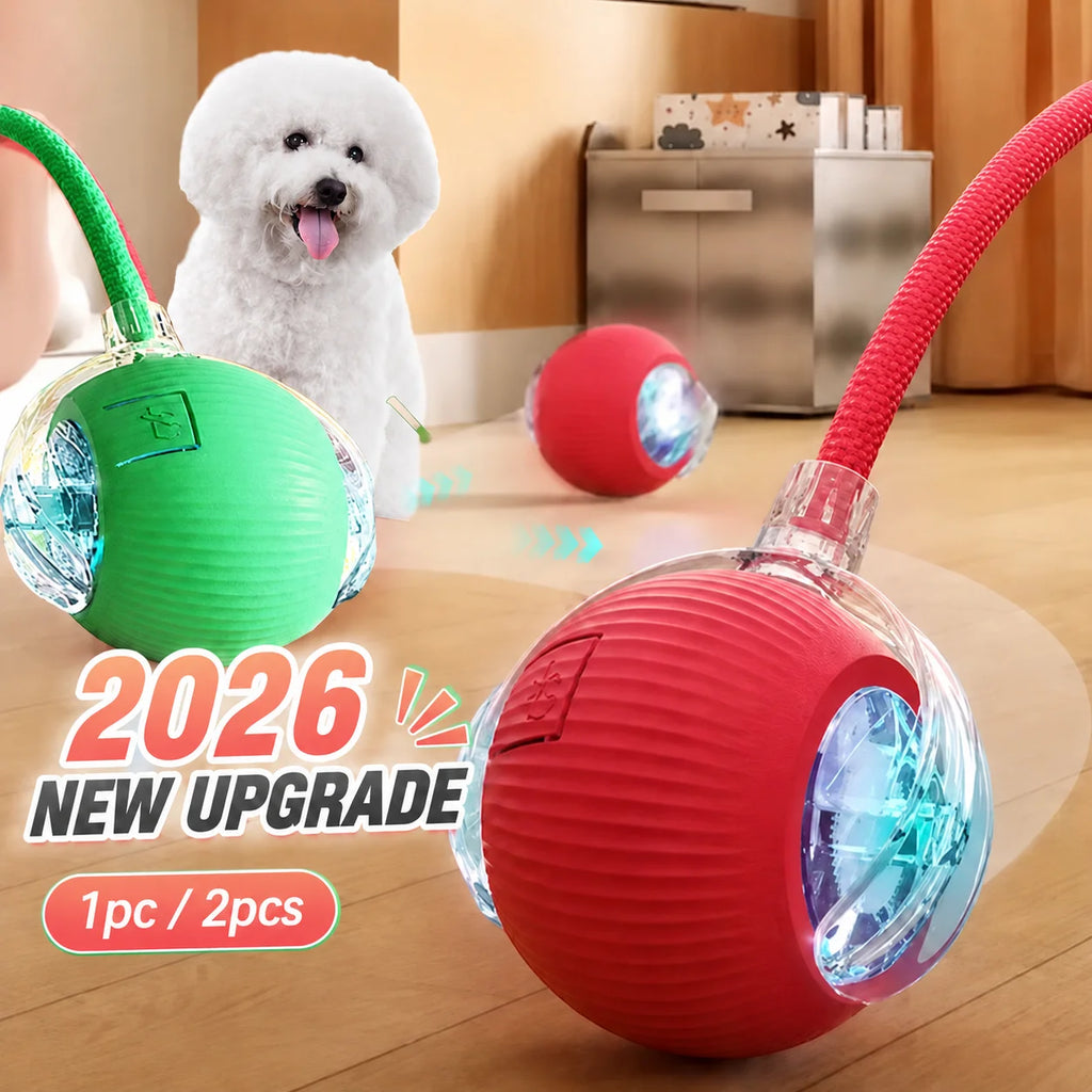 Neues interaktives Hundeball-Spielzeug, Automatisch rollender Hundeball wiederaufladbar, Intelligentes interaktives Welpenspielzeug, Intelligentes Ballspielzeug für Hunde
