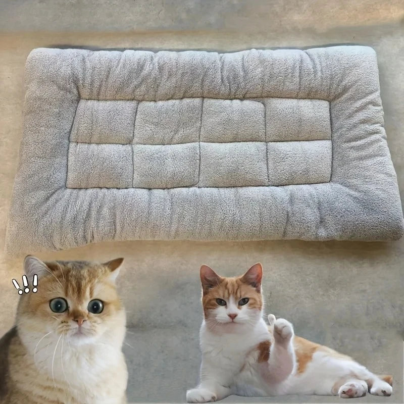 Böyük Plush İt Yatağı Divan Qalınlaşdırılmış Super Yumşaq Polyester Ev Heyvanı Döyşəyi Kiçik Orta Böyük İt Yatağı Üçün İt Qəfəsi Döyşəyi