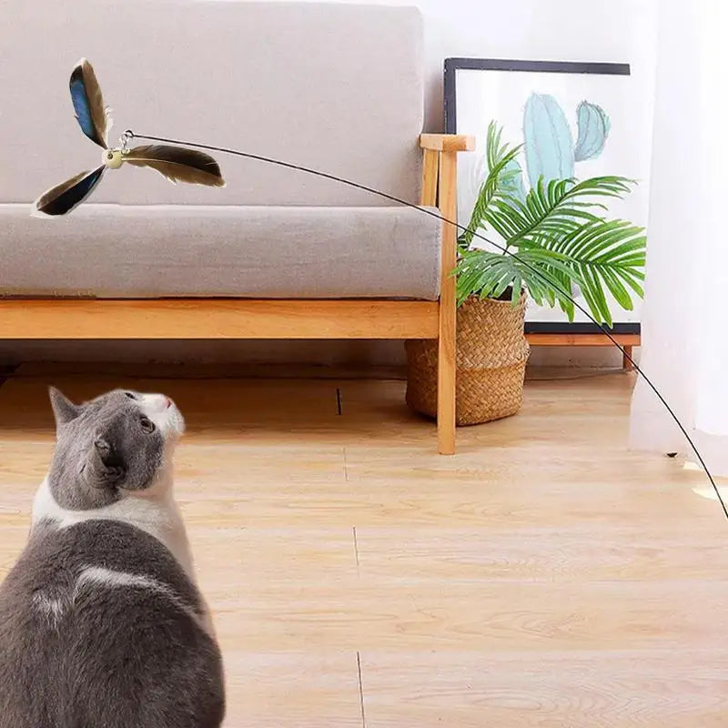 6Pcs/set Katzenfederstab Interaktive Katzenfeder Ersatzteile Katzenzubehör für Hauskatzen Kätzchen Training
