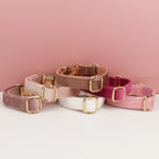 Velvet Collar Free Engrave Dog Collar For Medium Big Pet Necklace Dog Accessories Dog Collars