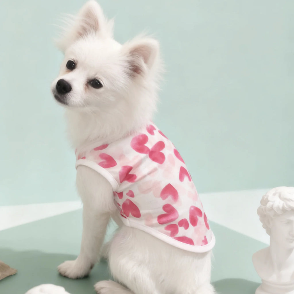 Hundekleidung Sommer Dünn Hundeweste T-Shirt Print Hund Niedliche Outfits Chihuahua Haustierkleidung Französische Bulldogge Mops Kostüme Welpenhemden
